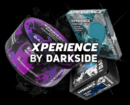xperience